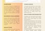 audit and optimise your google ads for better results